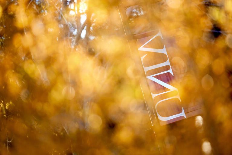 UNLV sign through fall foliage